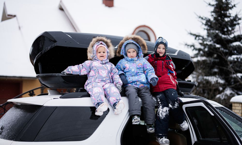 The Advantages of a Roof Box for Families with Children and Pets